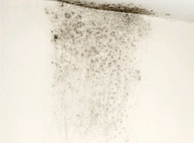 목포 주택 아파트 공장 결로검사 결로공사 시공업체