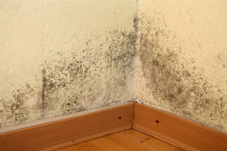 주택 결로 시공 PC 이미지 6106561