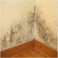 목포 주택 아파트 공장 결로검사 결로공사 시공업체-6106561